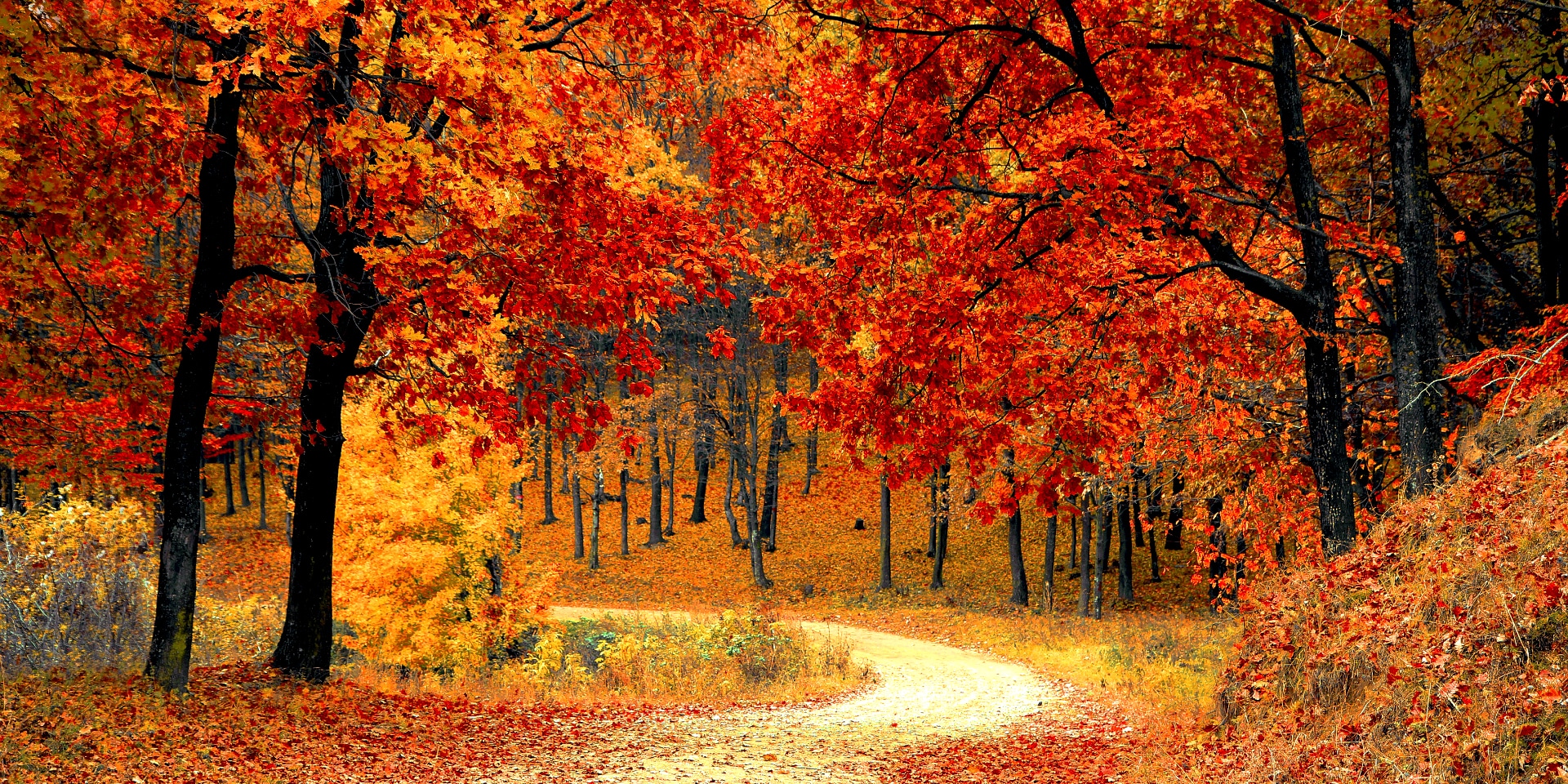 Autumn in New Orleans: A Flash Fic