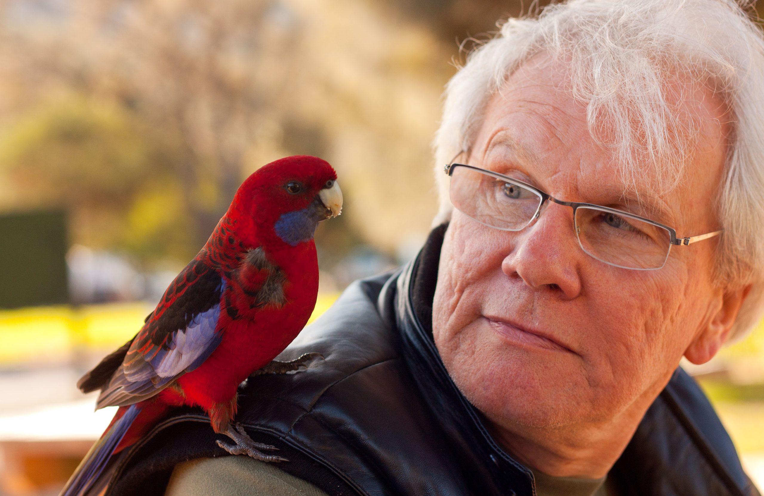 A (not so) quick interview with Jack Dann: When History Meets the Speculative